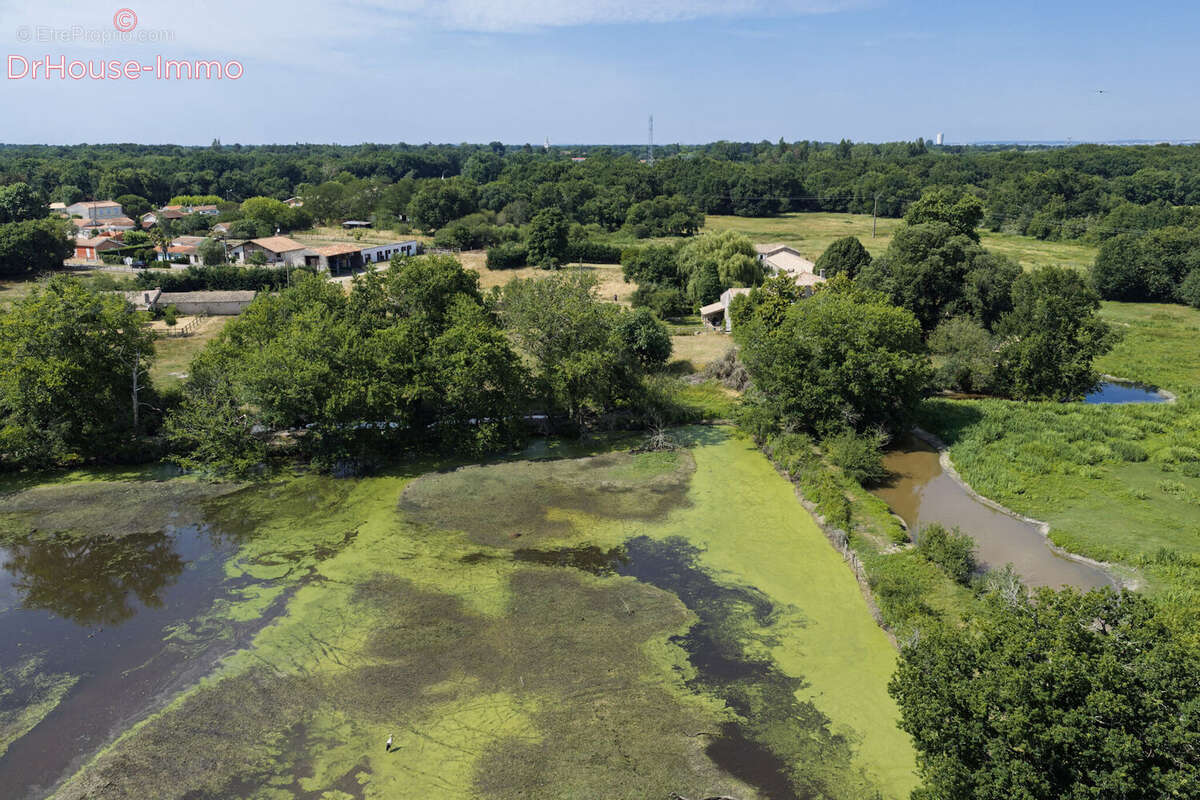 Maison 800 m² à Saint-Vivien-De-Medoc  - photo 10