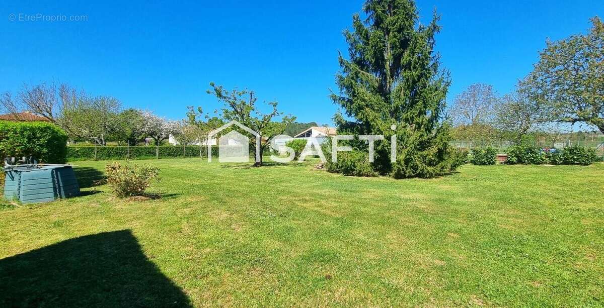 Photo 4 - Maison à MONTAYRAL