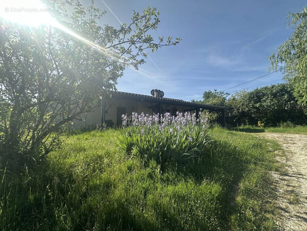 Maison à PUYSSERAMPION