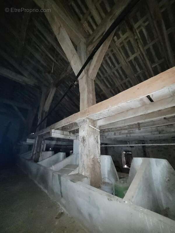 Photo 3 - Appartement à LEVIGNAC-DE-GUYENNE
