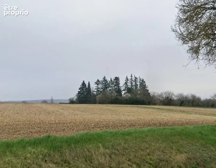 Terrain à ALLOGNY
