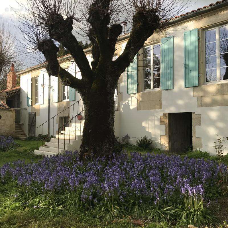 Maison à CHAILLE-LES-MARAIS