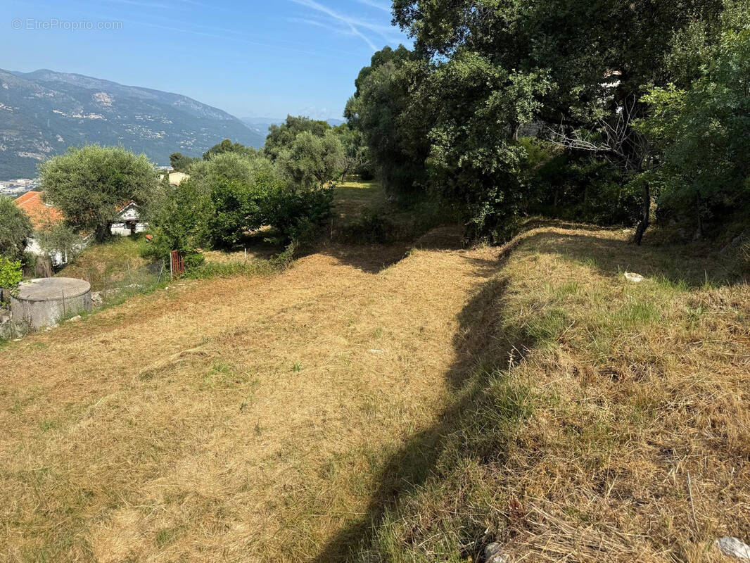 Terrain à CASTAGNIERS