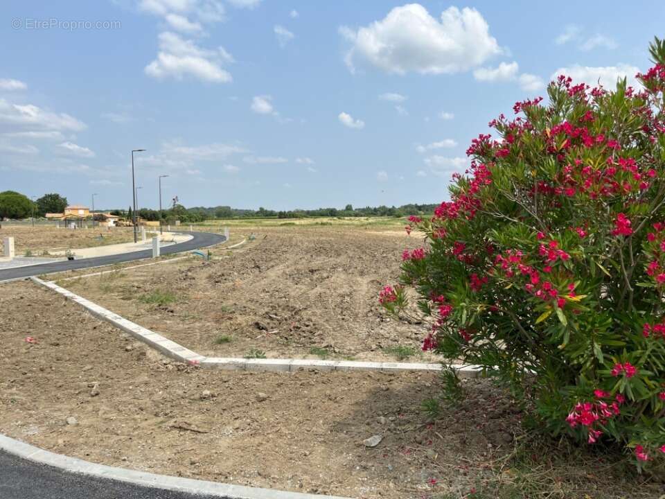 Terrain à VILLESEQUELANDE
