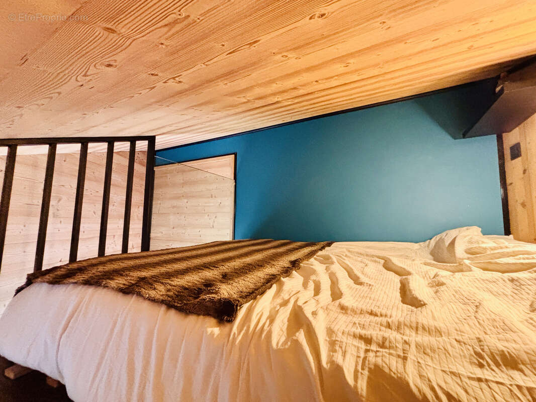 T3 Mezzanine au Petit-Châtel - photo 9
