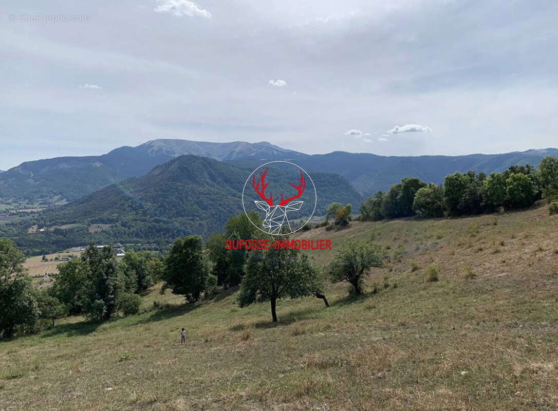 Terrain à SELONNET