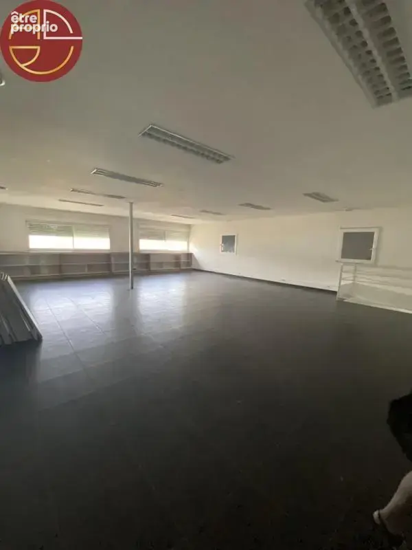Commerce 1 775 m² à vendre à Saint-Alban (31140) - photo 5