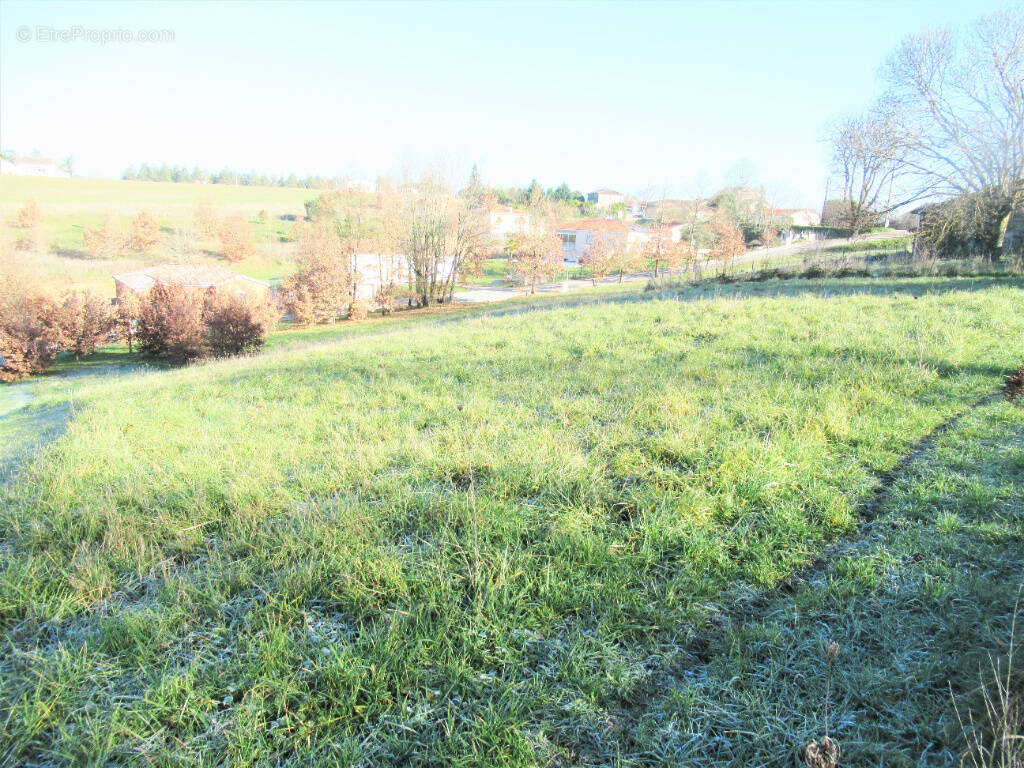 Terrain à MOISSAC