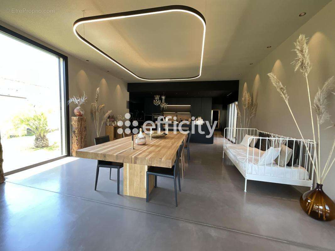 Maison 261 m² à Saint-Lager-Bressac  - photo 5