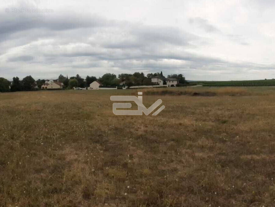 Terrain à JONCHERY-SUR-VESLE