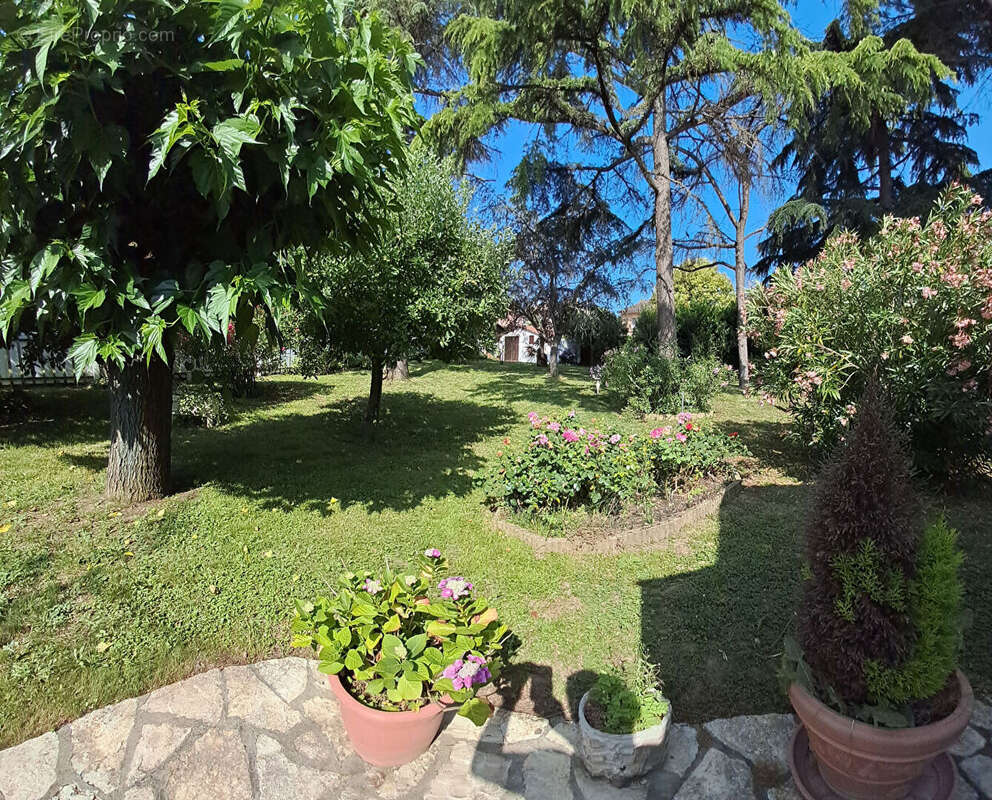 Maison à SAINT-JEAN