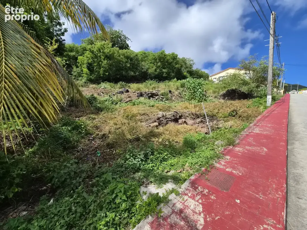 Terrain constructible 800m2, sur l'ile de Terre de Bas - photo 5