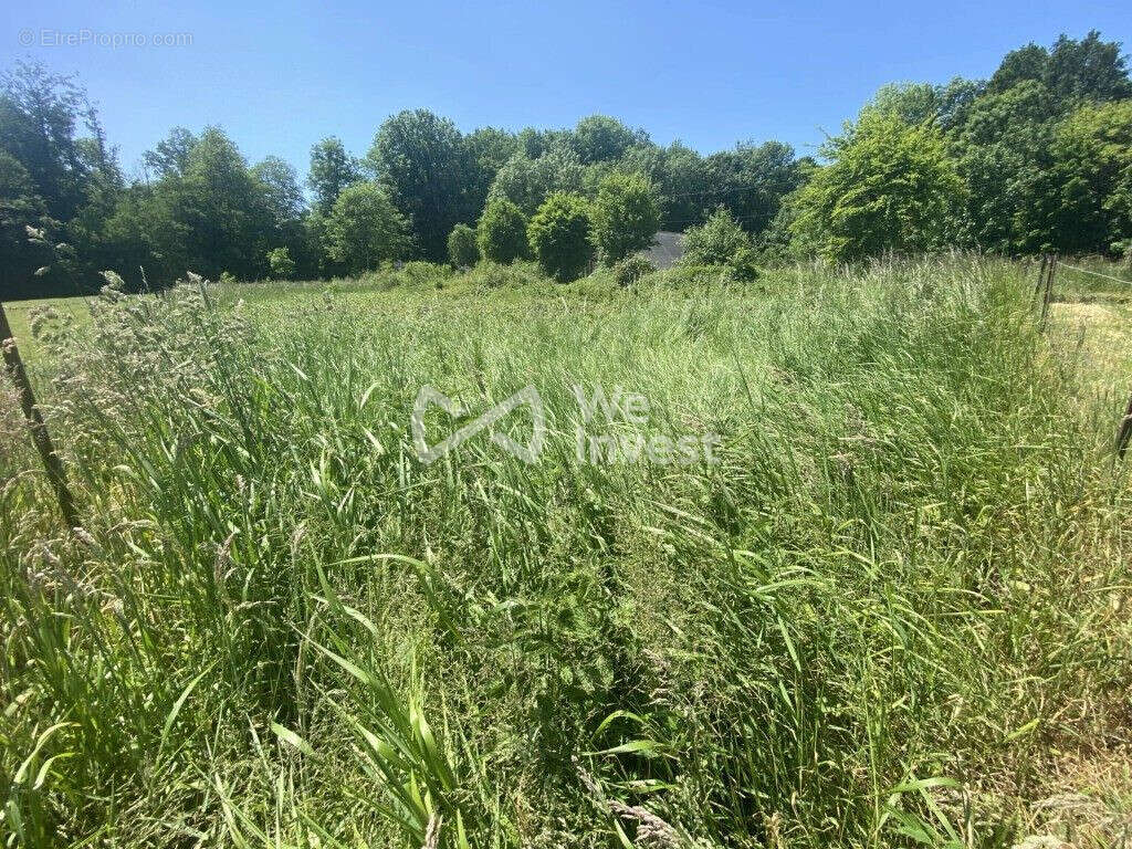Terrain à AUBENTON