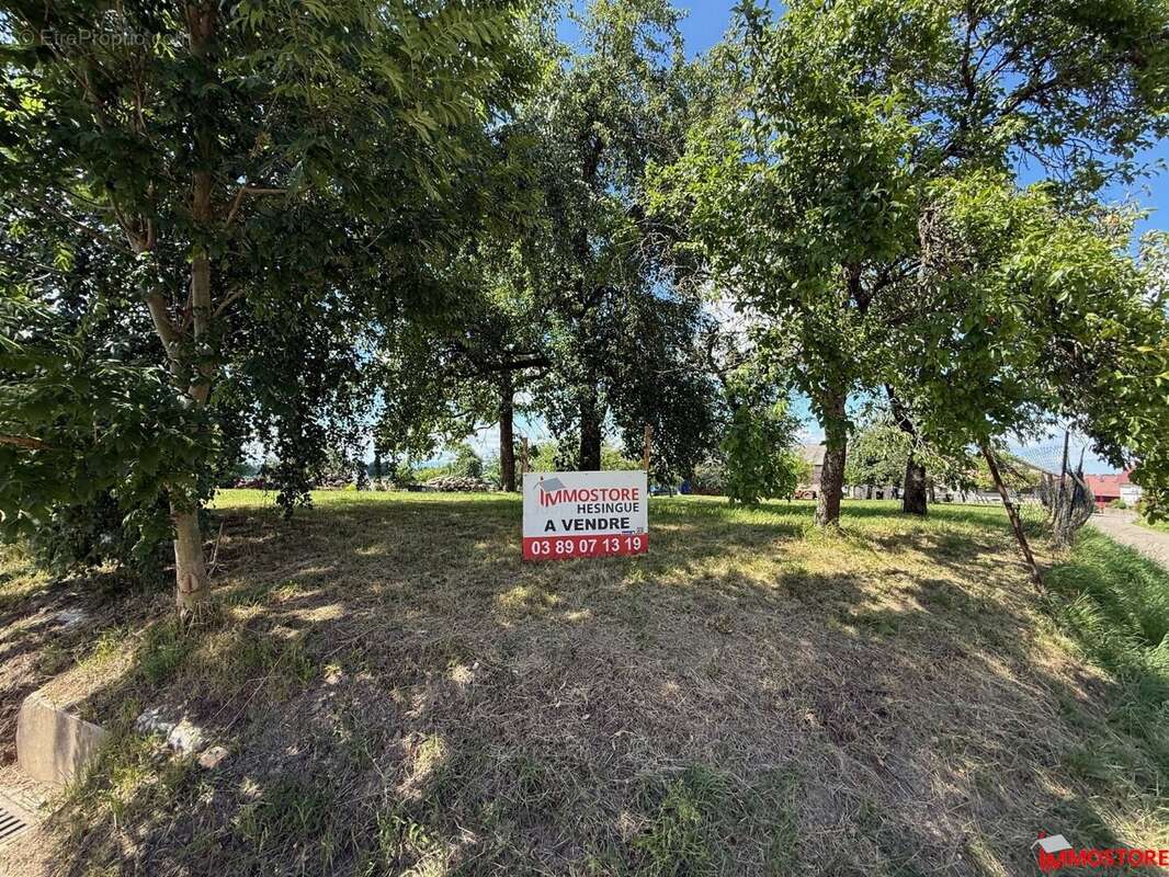 Terrain à MUESPACH-LE-HAUT