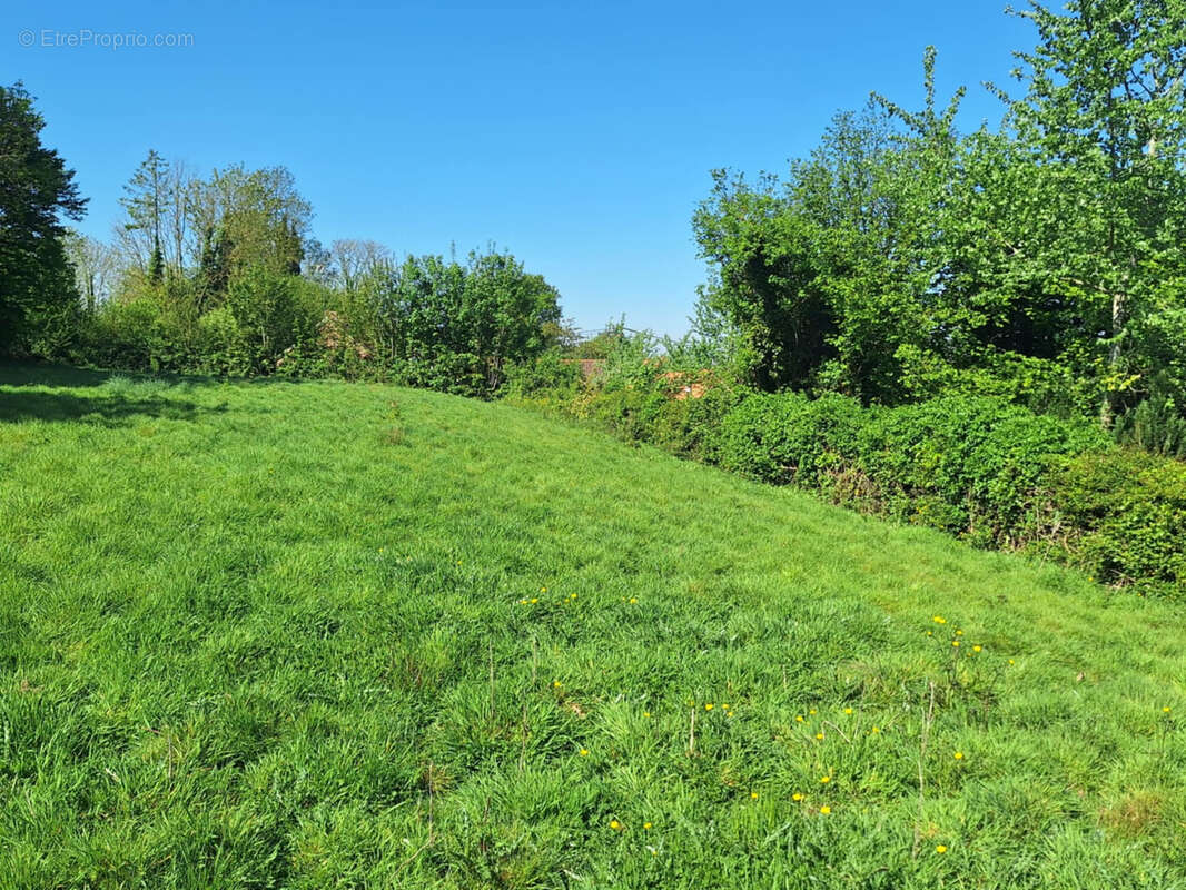 Terrain à CAMBLAIN-CHATELAIN