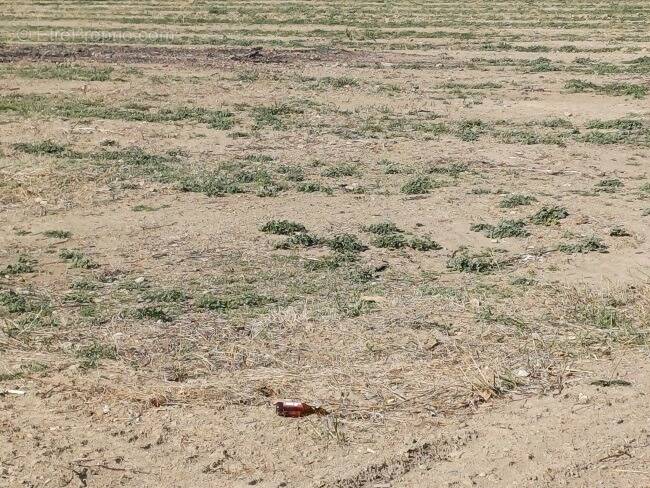 Terrain à SAINT-ANDRE