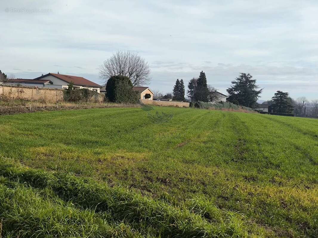 Terrain à SAINT-GEORGES-DE-RENEINS