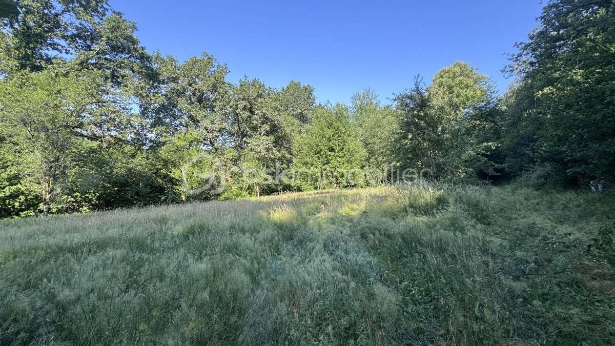 Terrain de loisirs, enclos pour chevaux - photo 4