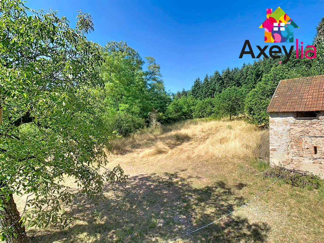 A vendre- proche lapalisse-  maison avec dépendances sur terrain de plus de 2 ha - photo 16
