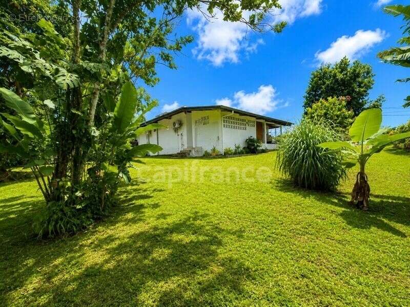 Maison à vendre 5 pièces MATOURY (973) - photo 4