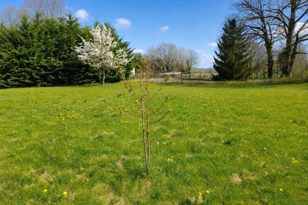 Belle maison en pierre XVIIIᵉ - 265m² Eymouthiers - photo 21