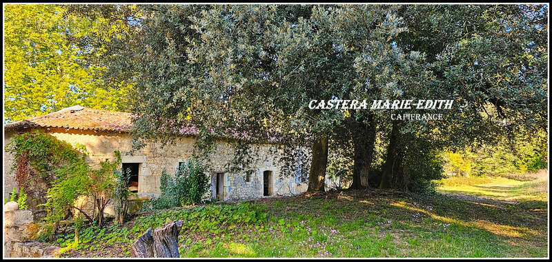 Propriété - Château Gascon Historique  - Terres agricoles, proche de AUCH (32) - photo 21