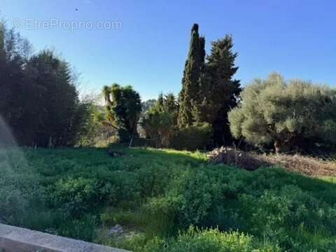 Terrain à VENCE
