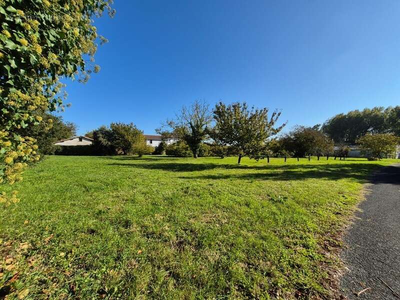 Terrain à SAINT-SAVINIEN