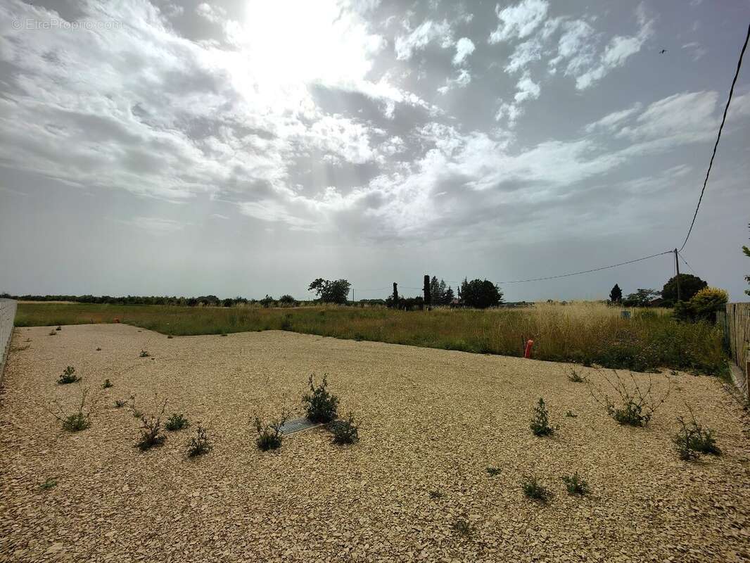 Terrain à PUIMOISSON