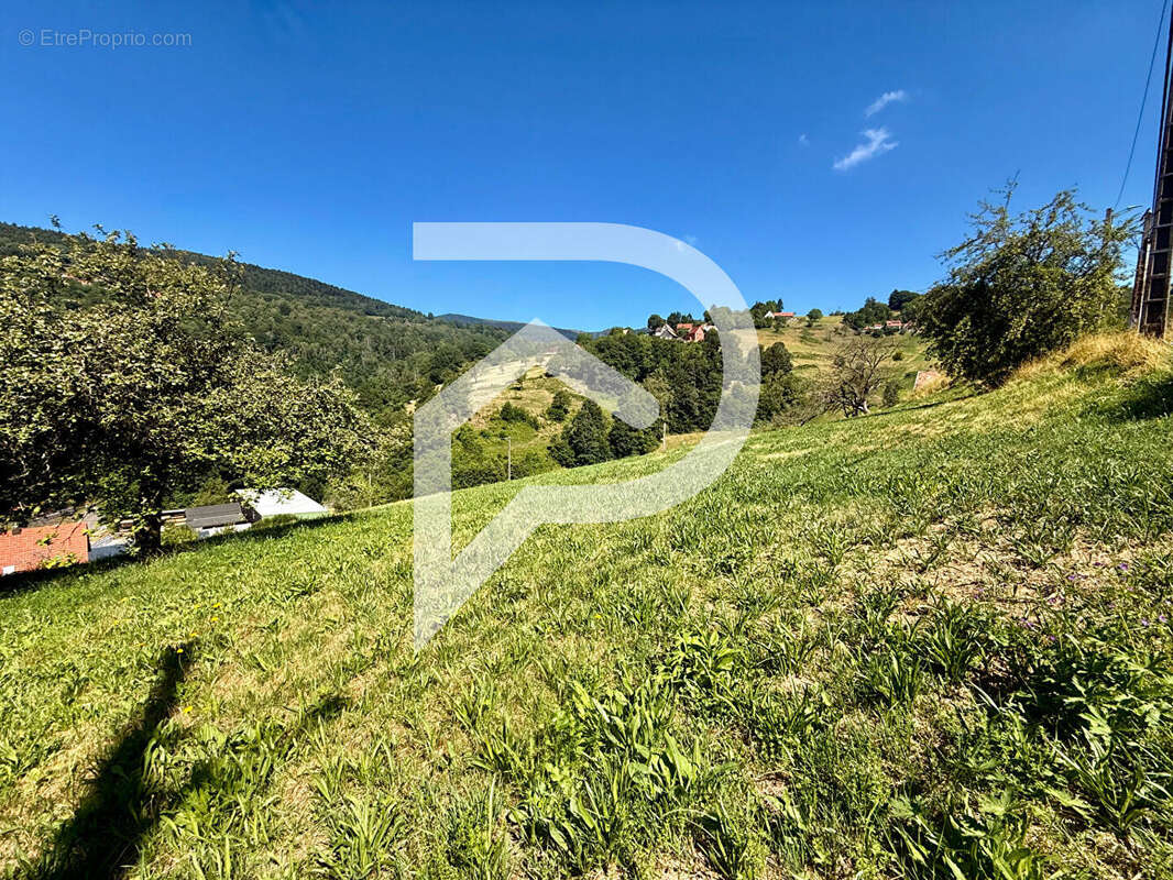 Terrain Soultzeren 592 m2 - photo 3