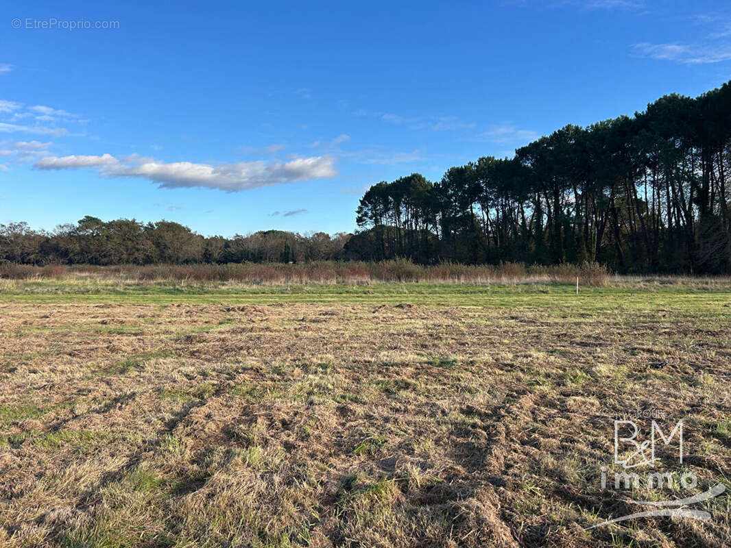Terrain à TOSSE