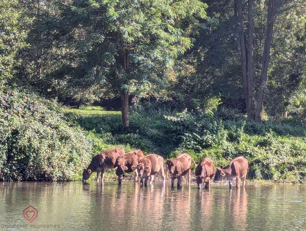 Maison à PRAT-BONREPAUX