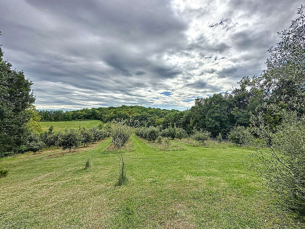 Maison à VILLECOMTAL-SUR-ARROS