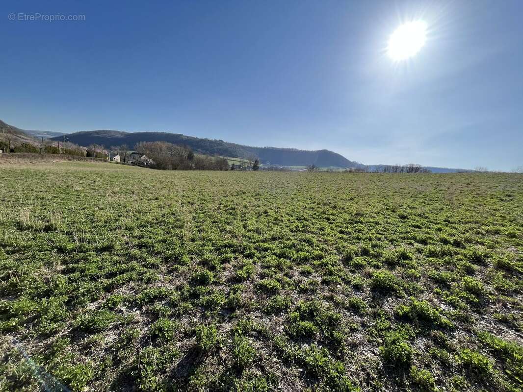 Terrain à SEVERAC-LE-CHATEAU
