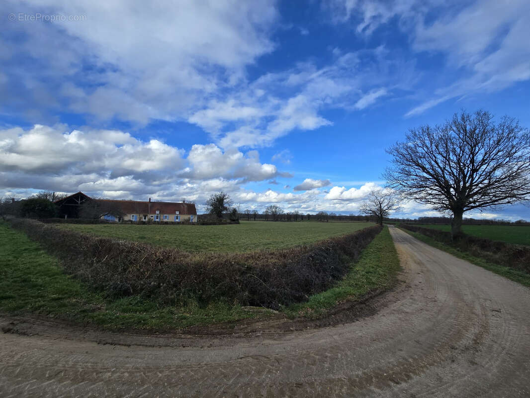 Exploitation agricole - 104 ha avec DPB   Cher / Indre - photo 27