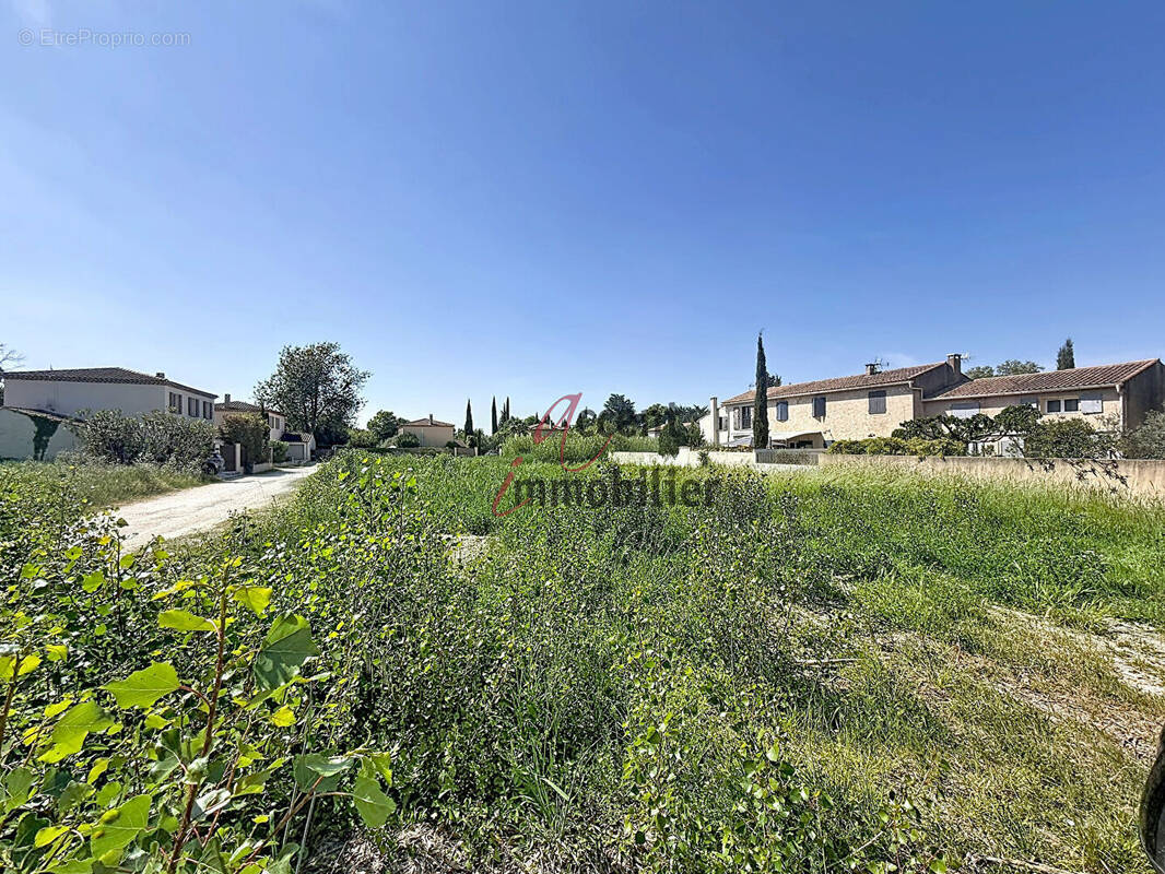 Terrain à SAINT-REMY-DE-PROVENCE