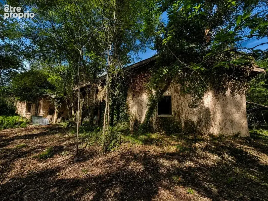 Maison de 8 pièces de 269 m² à Saint-Vincent-de-Paul - photo 6
