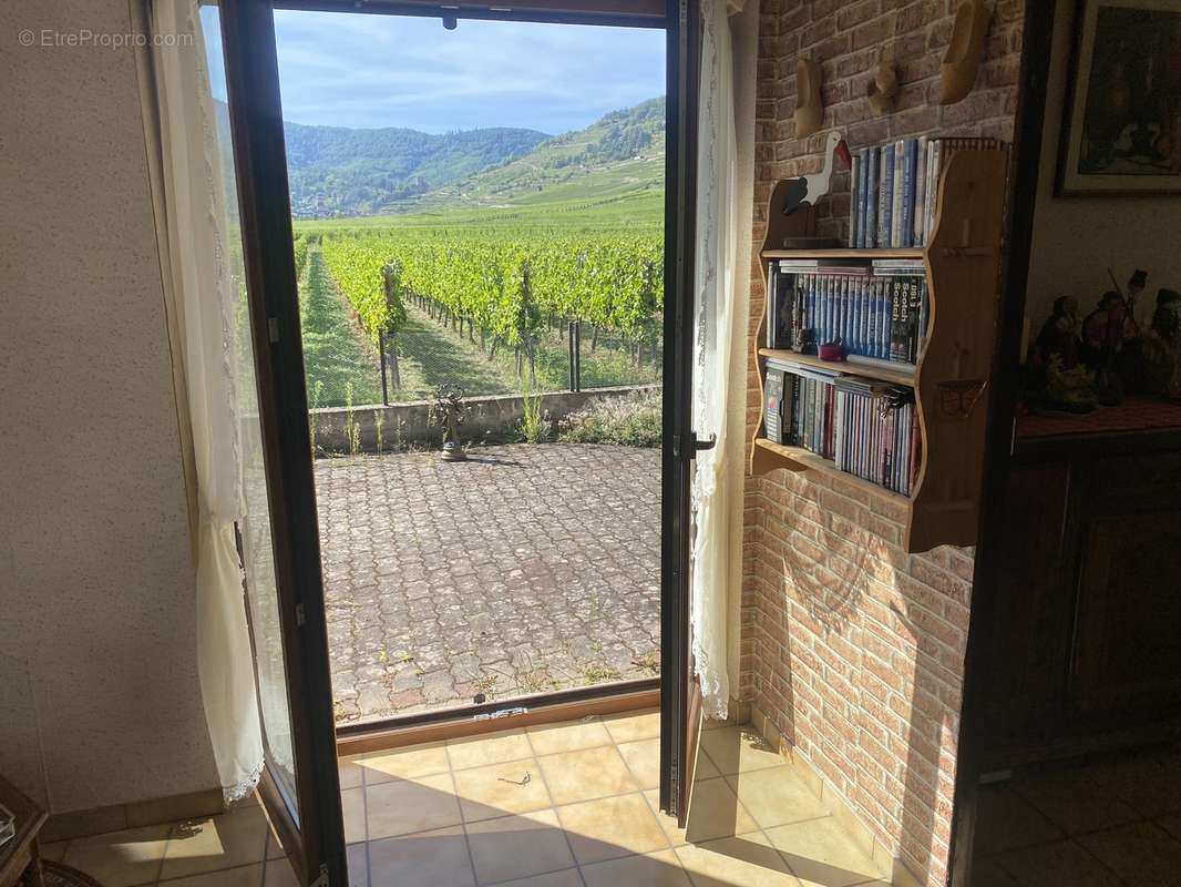 Maison 100 M² Cadre Exceptionnel , Garages , Cave - photo 4