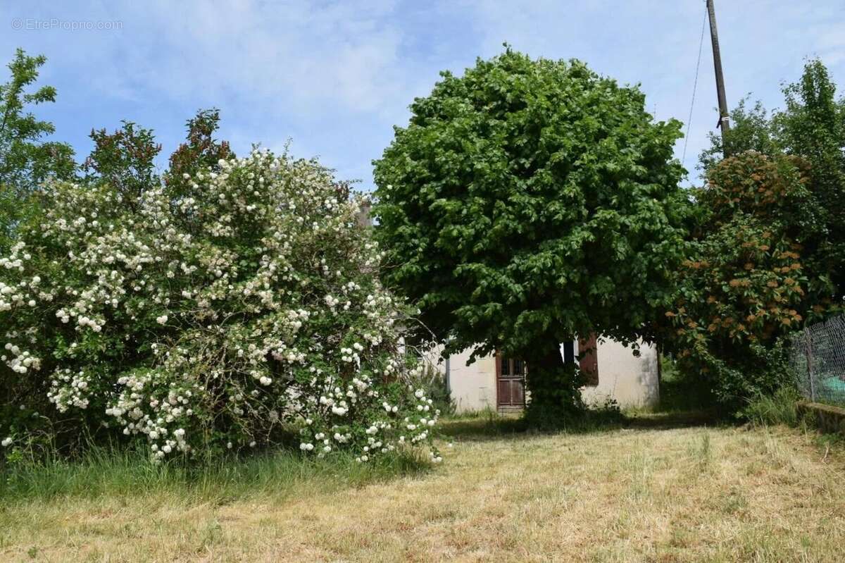 Fermette à vendre dans la Nièvre avec 3375 m² de terrain - photo 29