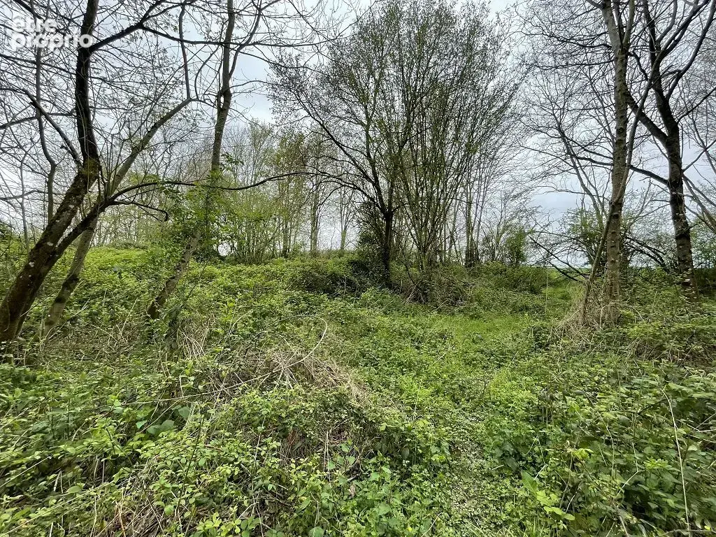 Terrain - 5440m ² - photo 3