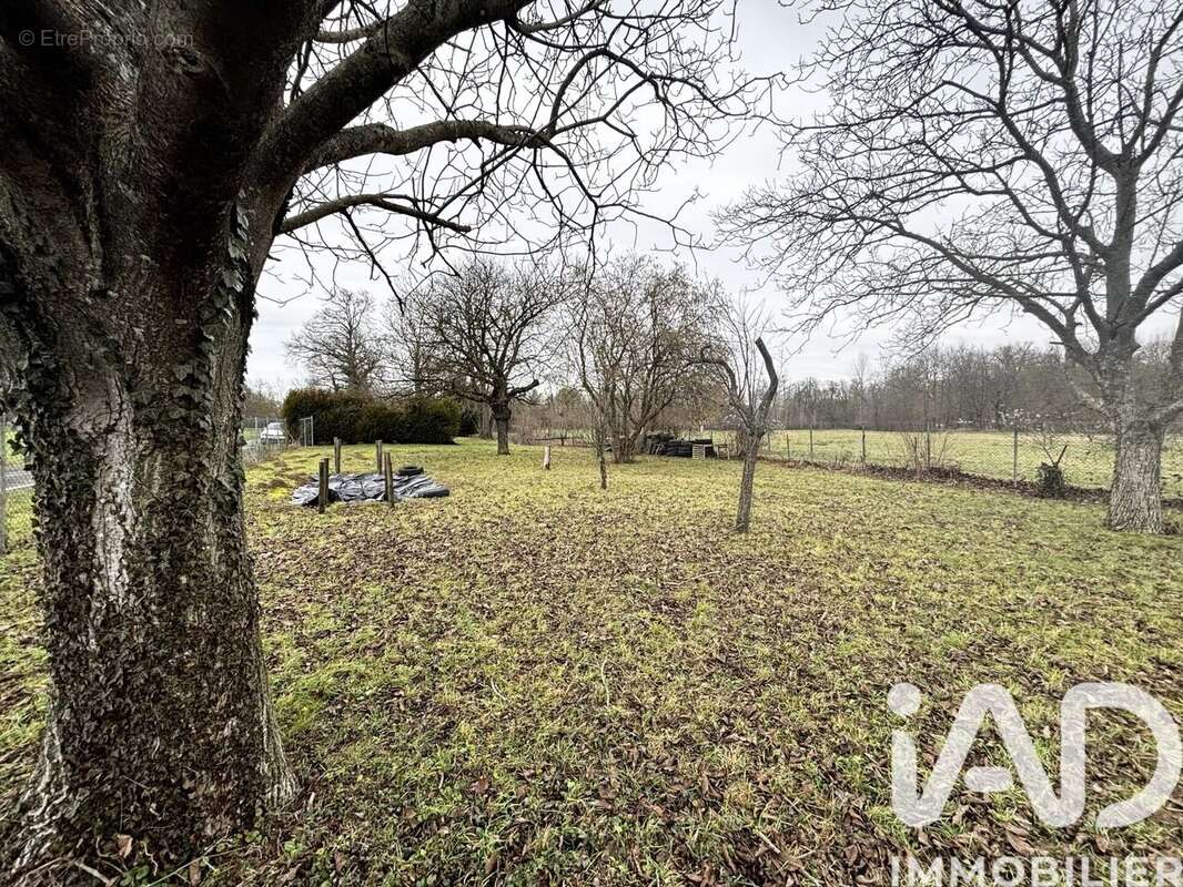 Photo 5 - Terrain à ANGLURE