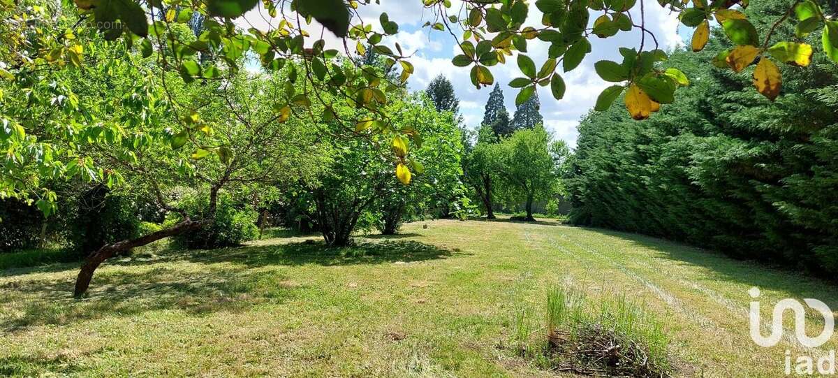 Photo 3 - Maison à CONTRES