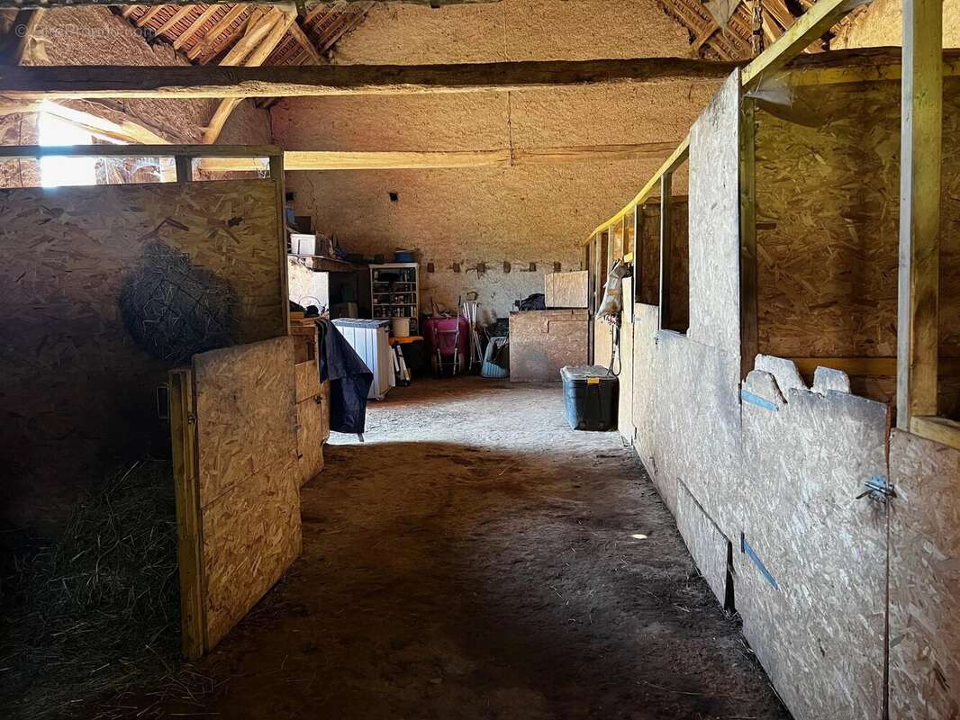 Propriété équestre de trois chambres - photo 20