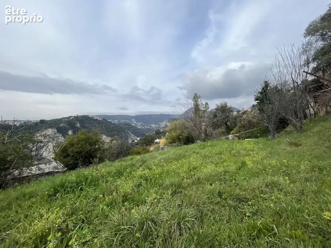 Terrain 3 080 m² à vendre à Saint-Andre-De-La-Roche (06730) - photo 3