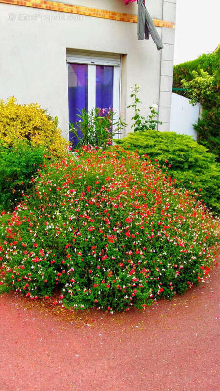 Appartement à SARTROUVILLE