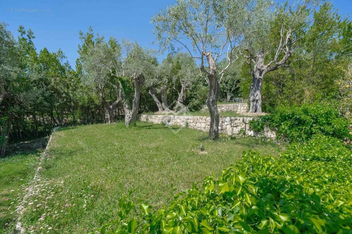 Maison à CHATEAUNEUF-GRASSE