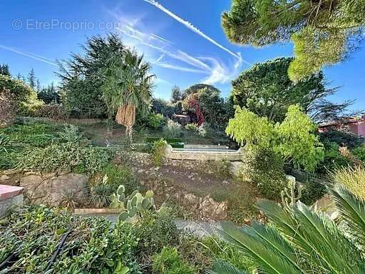 Appartement à VALLAURIS