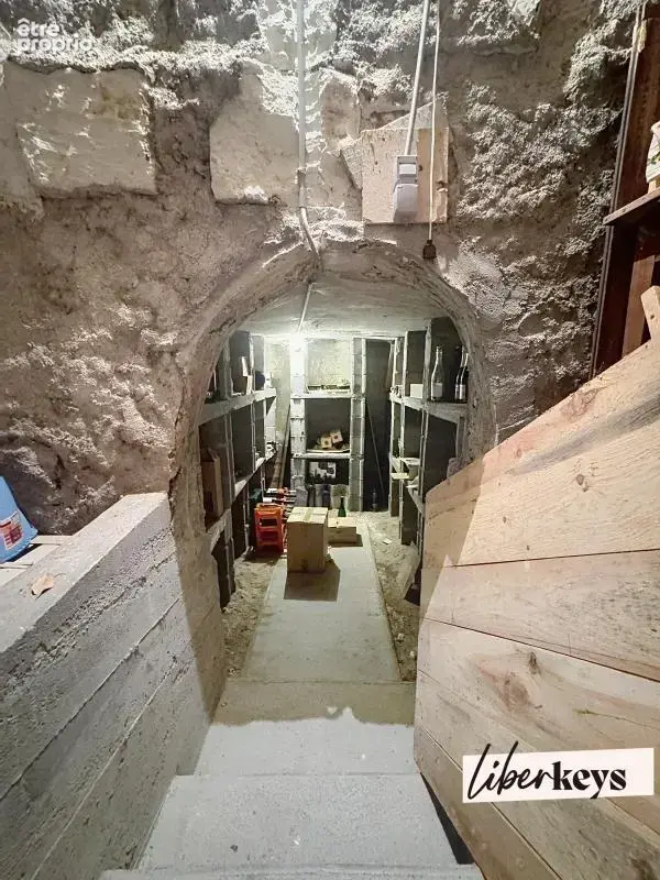 COUP DE CŒUR ATYPIQUE AU CŒUR DES VIGNES  Maison de 120 m², 4 chambres, source naturelle, grand garage avec atelier - photo 21