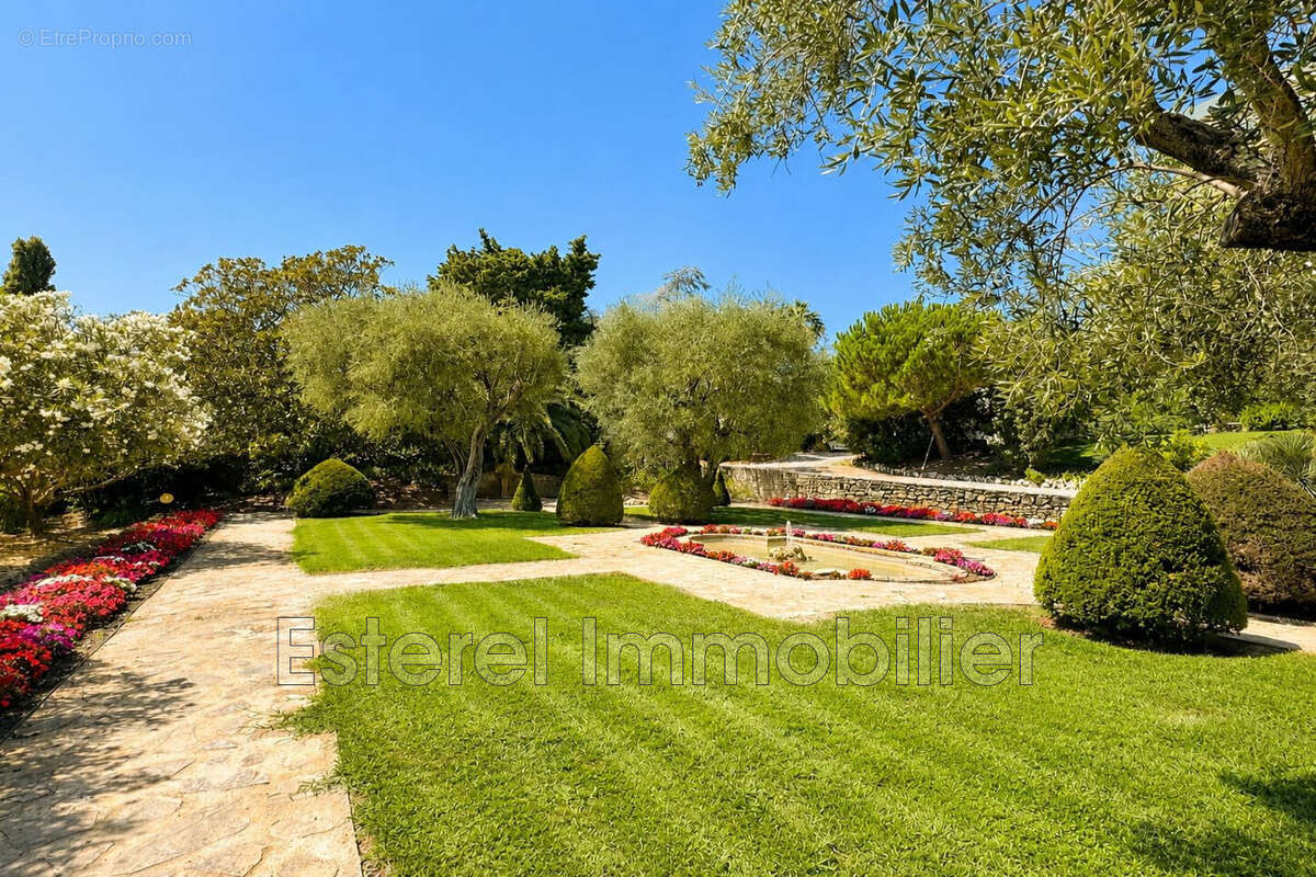 Appartement 20 m² à Cannes  - photo 3
