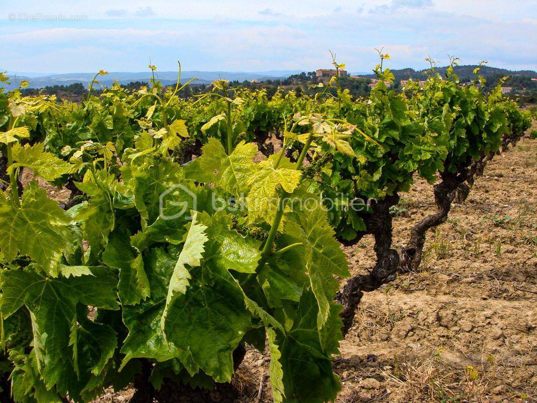 Terrain à RIEUX-MINERVOIS